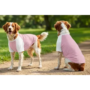 Two dogs wearing pink raglan t-shirts with white sleeves, standing on a path in a green park.
