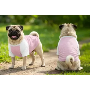 Two pugs wearing a pink raglan t-shirt with white sleeves, standing on a path in a green outdoor setting.