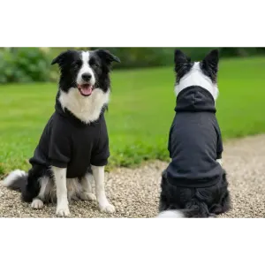 A black hoodie designed for dogs, featuring a hood, on two Border Collies in a grassy outdoor setting.