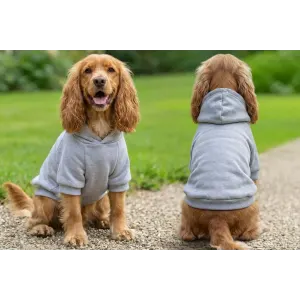 A grey hoodie designed for dogs is displayed on two cocker spaniels, showcasing front and back views in a grassy setting.