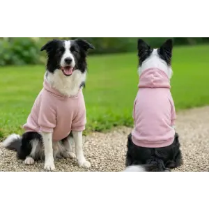 A pink hoodie designed for dogs, displayed on two Border Collies from front and back. Features a logo on the hood.