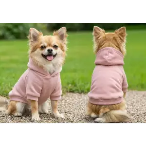 A pink dog hoodie displayed on two small dogs outdoors, showcasing a relaxed fit and a hood.