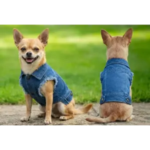 A denim jacket for dogs, featuring a light blue colour and a sleeveless design, displayed on a Chihuahua.