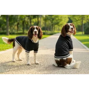 Two dogs wearing black varsity jackets with white stripes, standing on a path in a sunny park.