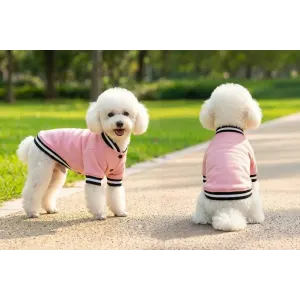 A pink varsity jacket with black stripes, worn by two fluffy dogs in a grassy outdoor setting.