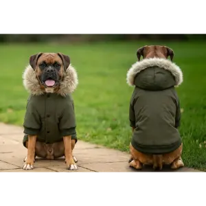 A dog in a green parka jacket with a fur-lined hood sits on a path, facing forwards and backwards.