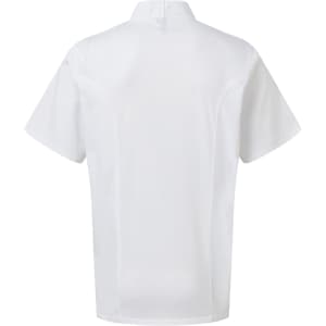 A short-sleeved chef's jacket in white, featuring a minimalist design with a collar and no visible detailing.