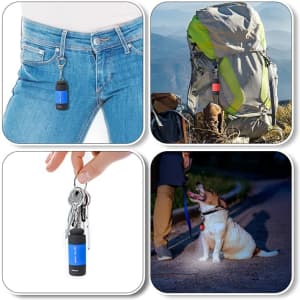A compact blue and black rechargeable LED torch attached to a keyring, backpack, and near a dog at night.