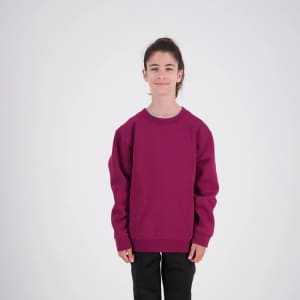 A kid wearing a maroon crew neck sweatshirt, standing against a plain background. The sweatshirt has a logo.