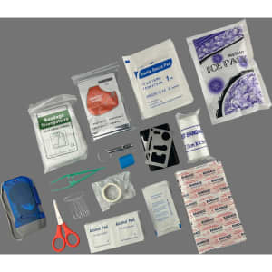 A blue first aid case containing various medical supplies: bandages, alcohol pads, gauze pads, scissors, and an ice pack.