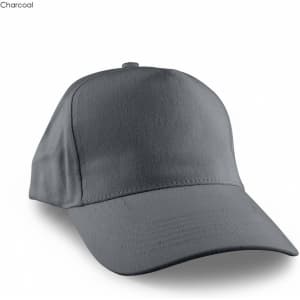 A grey cap with a structured design and a curved brim, featuring a logo on the front.