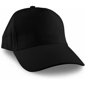 A black cap with a curved brim and a structured design, featuring a logo on the front.