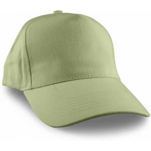 A green cap with a curved brim and adjustable back, featuring a logo on the front.