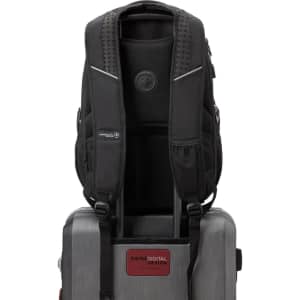 A black Swissdigital Neptune Backpack displaying padded straps and mesh detailing, designed for easy transport on luggage.