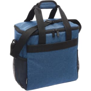 A blue cooler bag with black mesh pockets and dual handles. It features a zippered top for secure closure.