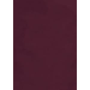 A maroon long sleeve button-up shirt for women, featuring a logo and a smooth texture.
