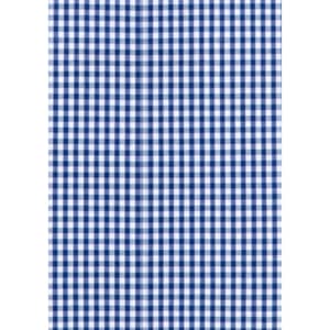 A fabric featuring a blue and white checked pattern, suitable for shirts or similar garments.