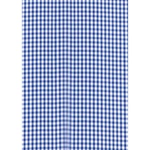 A blue and white checkered fabric pattern, featuring small squares, suitable for a button-up shirt design.