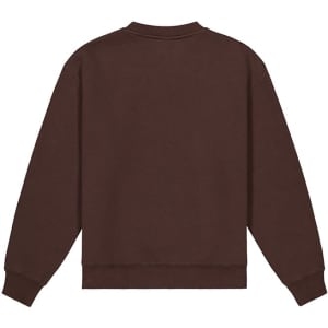 A brown women's crew sweatshirt with a simple design, featuring long sleeves and a crew neck.