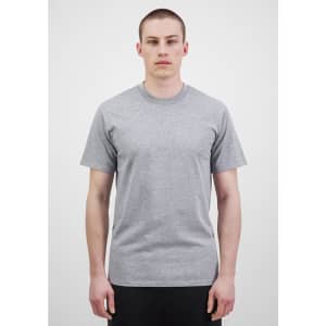 A grey short sleeve tee displayed on a model standing against a neutral background. The shirt has a logo.