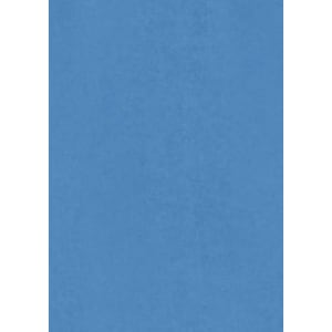 A blue Women's Metro 3/4 Sleeve Shirt with a button-up design and a logo.