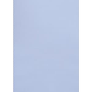 A long sleeve button-up shirt in a light blue shade with a logo on it.