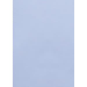 A light blue long sleeve button-up shirt with a classic fit, featuring a logo on the chest.