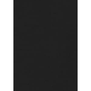 A women's long sleeve button-up shirt in solid black. The shirt features a logo.