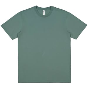 A men's short sleeve tee in a muted green colour, featuring a simple design and a logo.