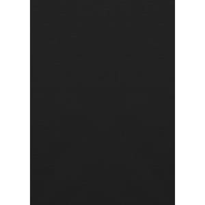 A black long sleeve shirt with a button-up design and a logo. Suitable for rugged outdoor wear.