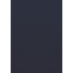A long sleeve shirt in a dark navy colour, featuring a button-up design and a logo.