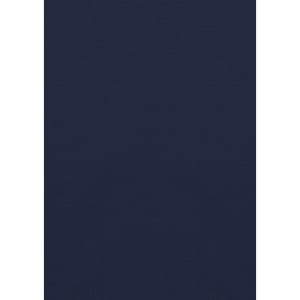 A dark navy long sleeve button-up shirt with a logo.