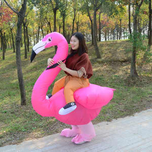 A pink flamingo inflatable costume designed for fun, featuring a person seated inside. Trees and a path in the background.