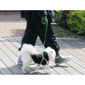 A retractable pet telescopic leash in green, being used by a person walking a small white dog on a wooden pathway.