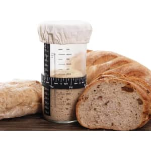A transparent 32 oz. Mason fermenter jar with a cloth cover, surrounded by various types of freshly baked bread.