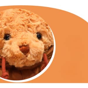 A plush brown teddy bear with a soft, curly texture and a cute face. The image features a circular crop with a logo.