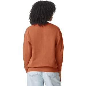 A lightweight crewneck sweatshirt in burnt orange, featuring a relaxed fit and a visible logo on the back.