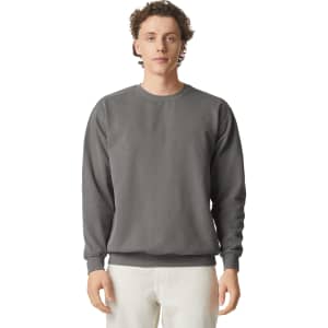 A grey adult crewneck sweatshirt with long sleeves and a simple design, featuring a logo on the front.