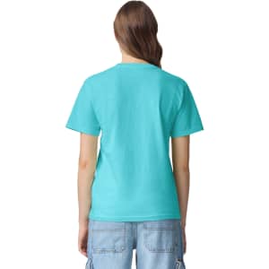 A turquoise heavyweight adult t-shirt with a plain back and a small logo on the neck area.