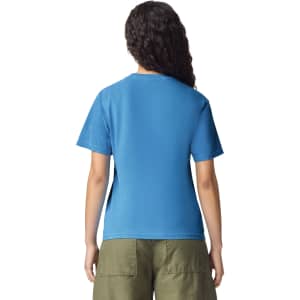 A blue heavyweight adult t-shirt shown from the back, featuring short sleeves and a simple design.