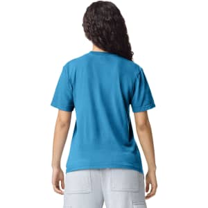 A blue heavyweight adult t-shirt viewed from the back, featuring a logo on the neck area.