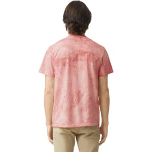 A heavyweight adult T-shirt in a faded red colour, featuring a back view with a textured design and a logo.