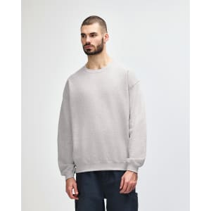 A grey crewneck sweatshirt worn by a model, featuring long sleeves and a relaxed fit, with a logo visible.
