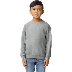 A youth sweatshirt in grey featuring ribbed cuffs and neckline. Includes a branding logo on the front.