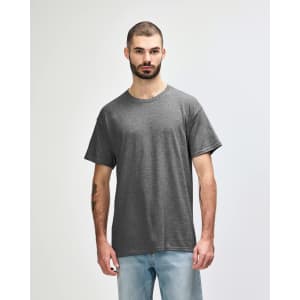 A grey adult T-shirt displayed on a model, featuring a crew neckline and short sleeves, with a logo on the shirt.