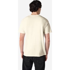A plain cream adult t-shirt is displayed from the back, showcasing its simple design and fabric texture.