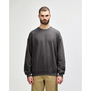 A grey Gildan Softstyle adult sweatshirt displayed on a model, featuring long sleeves and a crew neck.