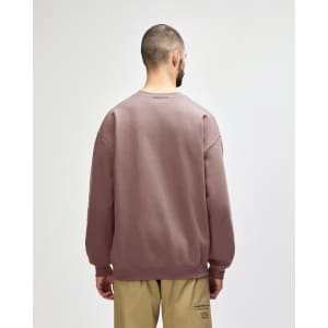 A softstyle adult sweatshirt in a muted mauve colour, featuring a simple back view and long sleeves.