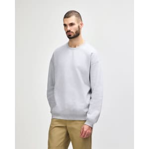 A grey Gildan Softstyle adult sweatshirt displayed on a mannequin, featuring a crew neck and long sleeves.