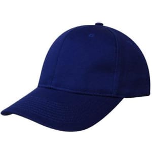 A navy blue cap with a classic design, featuring a rounded crown and a curved brim. It has a logo on the front.